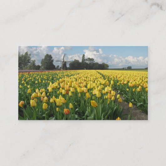 Gele Tulp Flowers Field Windmill Landschap Visitekaartje (Voorkant)