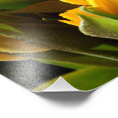 Gele Tulp Foto Afdruk (Hoek)