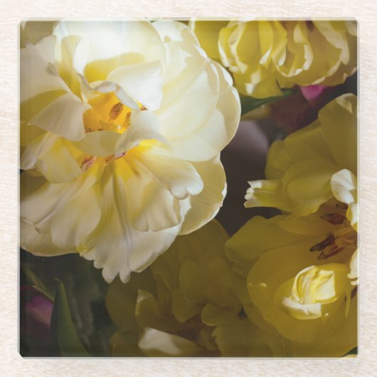 Gele tulp foto glazen onderzetter (Voorkant)