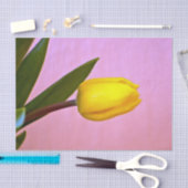 Gele tulp, groene bladeren, op roze tissuepapier (Craft)