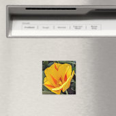 Gele tulp in Bloom Magnet (Insitu (Vaatwasser))