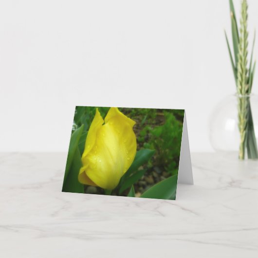 Gele Tulp in de Kaart van de Nota van de Regen van (Voorkant)