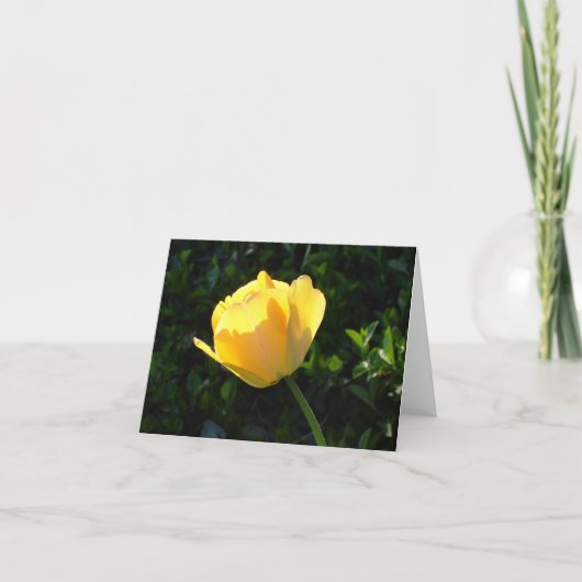 Gele Tulp Kaart (Voorkant)