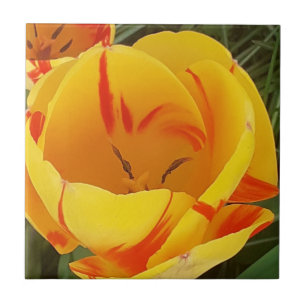 Gele tulp keramische tegel tegeltje