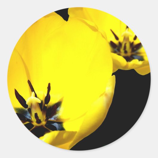 Gele Tulp-Stickers Ronde Sticker (Voorkant)