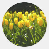 Gele Tulp Tuin Ronde Sticker (Voorkant)