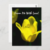 Gele tulp - van mij met liefde briefkaart (Voorkant / Achterkant)