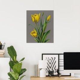 Gele Tulp Waterverf Flower Poster