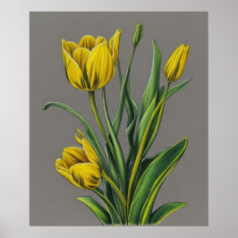 Gele Tulp Waterverf Flower Poster