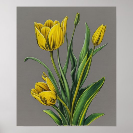Gele Tulp Waterverf Flower Poster (Voorkant)