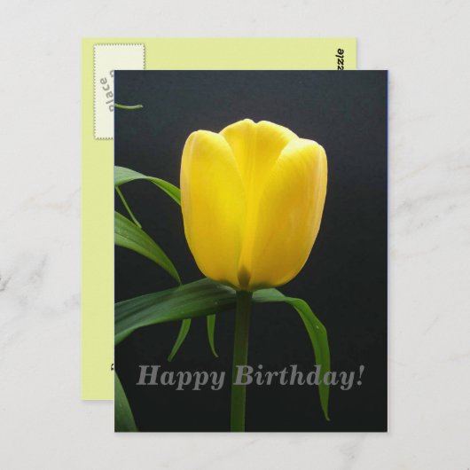 gele tulpbloem briefkaart (Voorkant / Achterkant)
