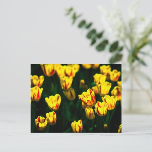 Gele tulpbloemen briefkaart (Staand voorkant)
