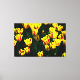 Gele tulpbloemen canvas afdruk