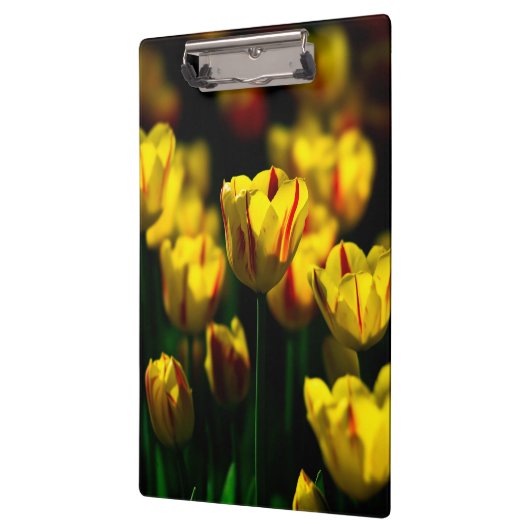 Gele tulpbloemen klembord (Links)
