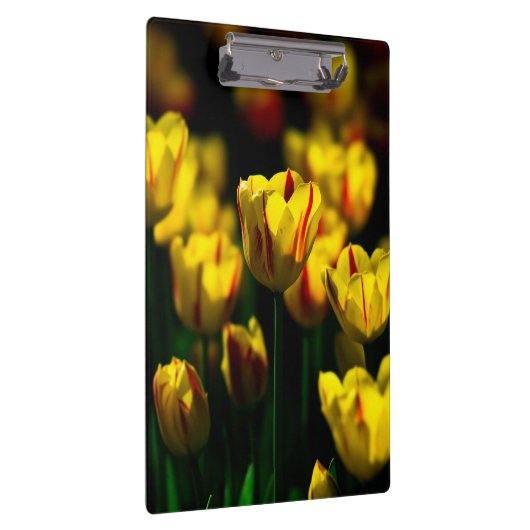 Gele tulpbloemen klembord (Rechts)