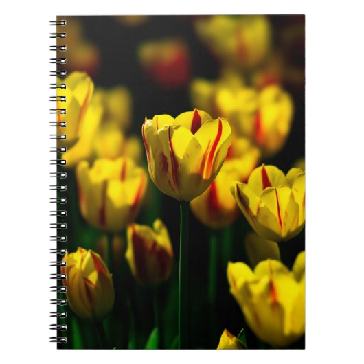 Gele tulpbloemen notitieboek (Voorkant)