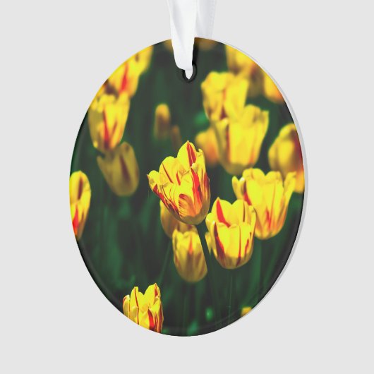 Gele tulpbloemen ornament (voorkant)