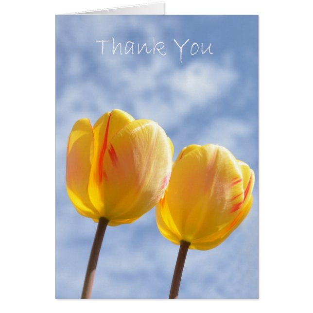 Gele Tulpen aan de hemel (Voorkant)