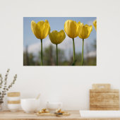 Gele tulpen afdrukken poster (Keuken)