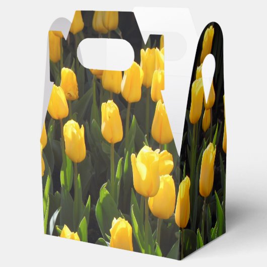 Gele tulpen bedankdoosjes (Geopend)