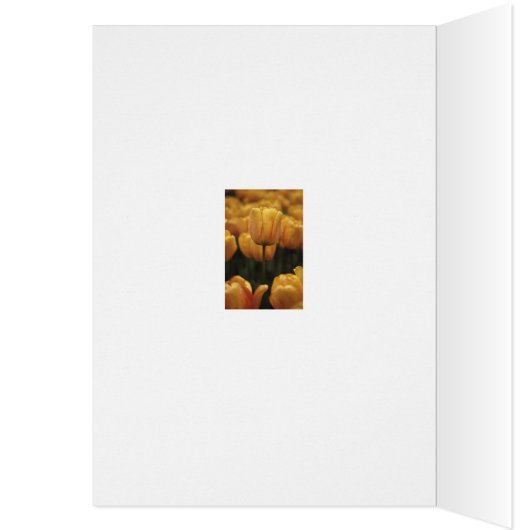 Gele Tulpen Blanco Kaart (Binnen (Links))