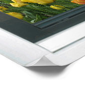 Gele Tulpen Blue Sky Spring Uitzicht Poster (Hoek)