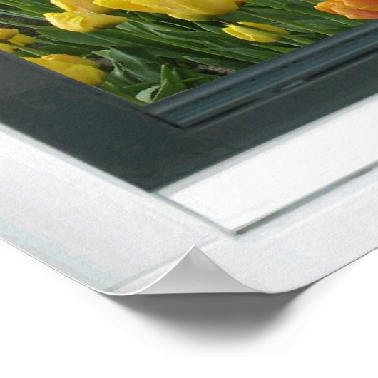 Gele Tulpen Blue Sky Spring Uitzicht Poster (Hoek)