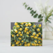 gele tulpen briefkaart (Staand voorkant)