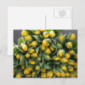 gele tulpen briefkaart (Voorkant / Achterkant)