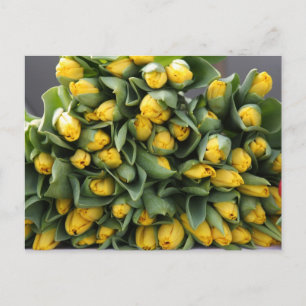 gele tulpen briefkaart