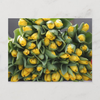 gele tulpen briefkaart