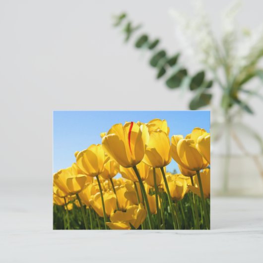 gele tulpen briefkaart (Staand voorkant)