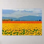 Gele tulpen en schoolbus poster (Voorkant)