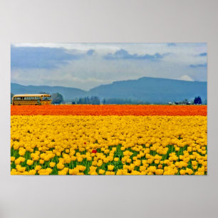 Gele tulpen en schoolbus poster