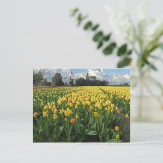 Gele Tulpen in een "Field Holland" Briefkaart (Staand voorkant)
