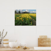 Gele Tulpen in een "Field Holland" Poster (Keuken)