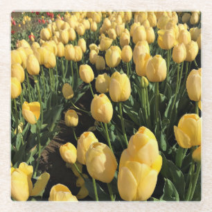 Gele tulpen in een veld, Oregon Glazen Onderzetter