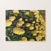 Gele Tulpen in een veld, Oregon Legpuzzel (Horizontaal)
