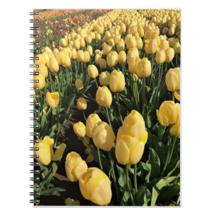 Gele Tulpen in een veld, Oregon Notitieboek