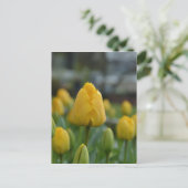 Gele Tulpen in het veld Briefkaart (Staand voorkant)