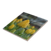 Gele Tulpen in het veld Tegeltje (Zijkant)