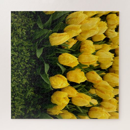 Gele Tulpen Jigsaw Puzzel (Horizontaal)