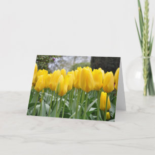 Gele tulpen kaart