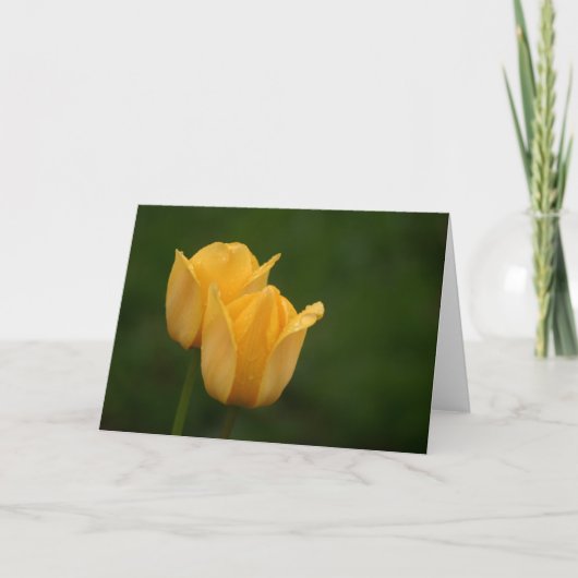 Gele tulpen kaart (Voorkant)