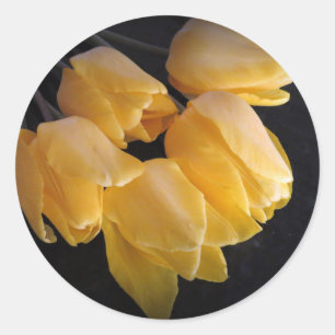"Gele tulpen met een donkere achtergrond" Ronde Sticker