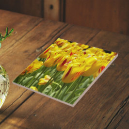 Gele tulpen met rode strepen bloemstuk tegeltje