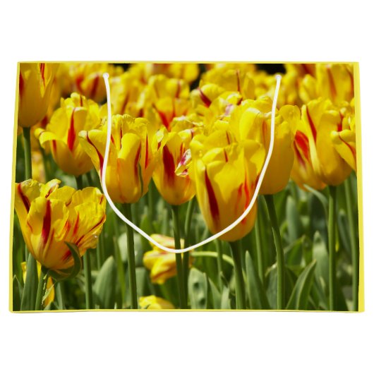 Gele tulpen met rode strepen groot cadeauzakje (Voorkant)