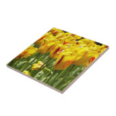 Gele tulpen met rode strepen tegeltje (Zijkant)