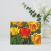 Gele Tulpen, Oranje Tulpen Briefkaart (Staand voorkant)