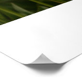 Gele tulpen poster (Hoek)